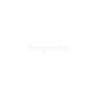TrueProxies logo