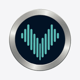 Vowise logo