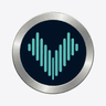 Vowise logo