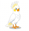 Cockatoo logo